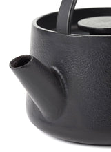 Load image into Gallery viewer, TEA POT CAST-IRON INKU
