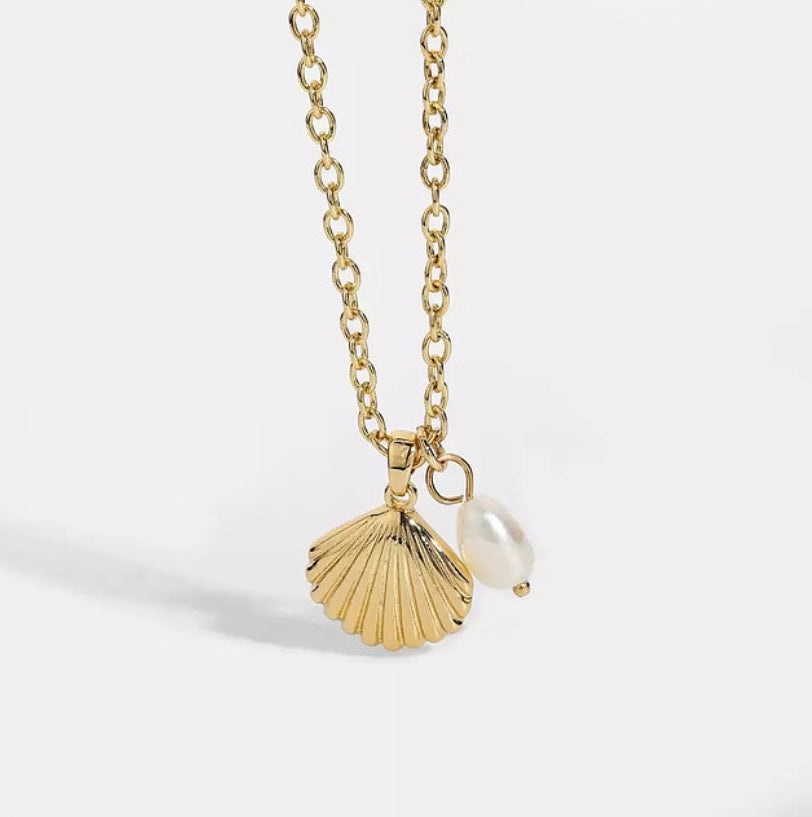 SEASHELL NECKLACE